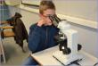 Osservazione di microrganismi al microscopio